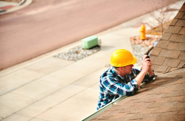 Roof Gutter Cleaning in Du Quoin, IL