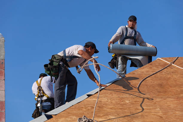 Best Roof Gutter Cleaning  in Du Quoin, IL