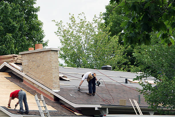 Best Roofing Contractor Near Me  in Du Quoin, IL