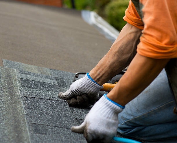 Best Affordable Roofing Company  in Du Quoin, IL